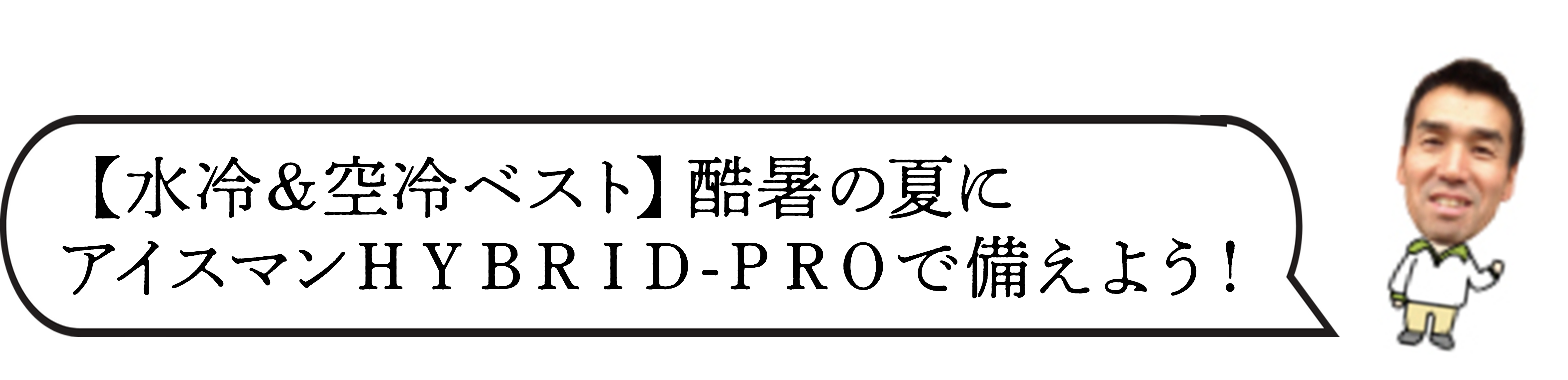 アイスマンＨＹＢＲＩＤ-ＰＲＯ